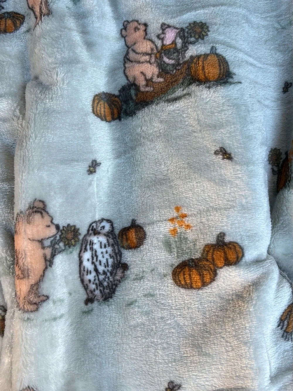 Classic Winnie the Pooh throw blanket size 50x70